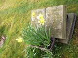 image of grave number 630553